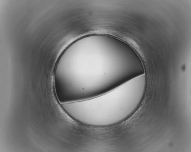 X0000091291428200708101017
