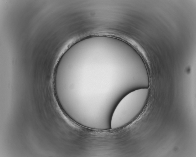 X0000091291429200708101017