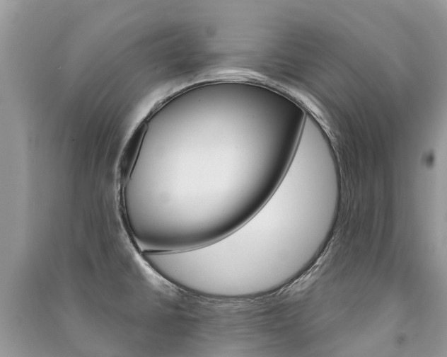 X0000091291430200708101017