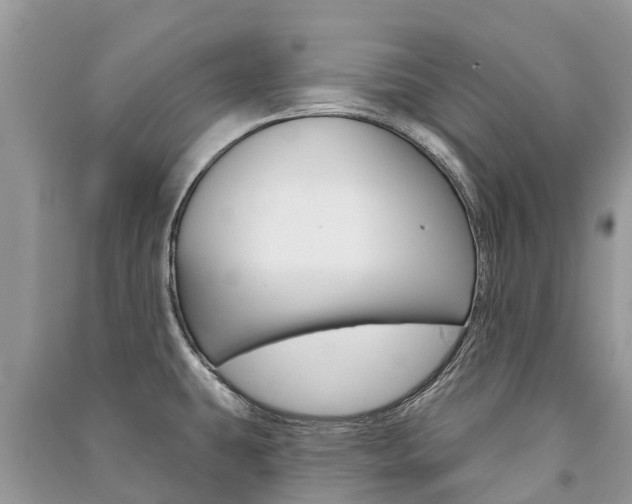 X0000091291431200708101017