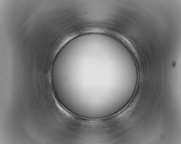X0000091291433200708101017