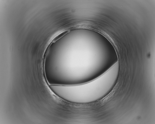 X0000091291434200708101017