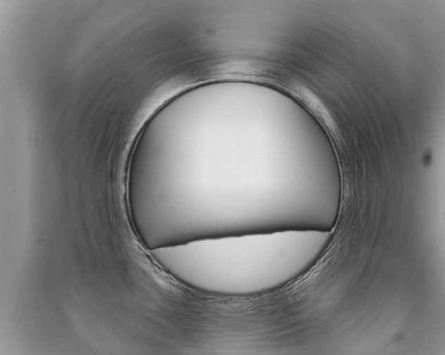 X0000091291435200708101017