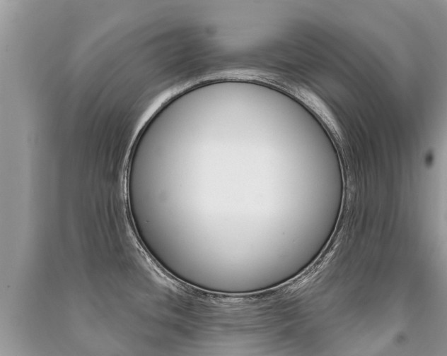 X0000091291436200708101017