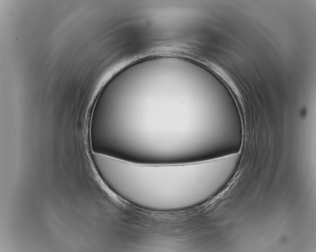 X0000091291437200708101017