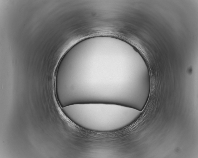 X0000091291439200708101017