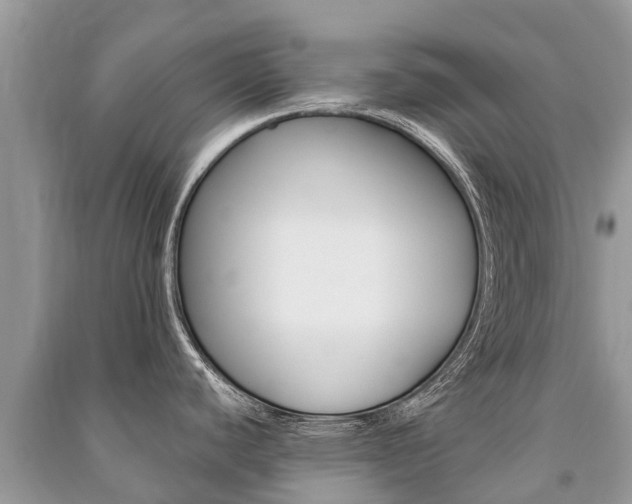 X0000091291440200708101017