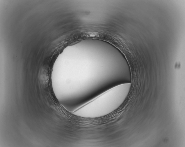 X0000091291442200708101016