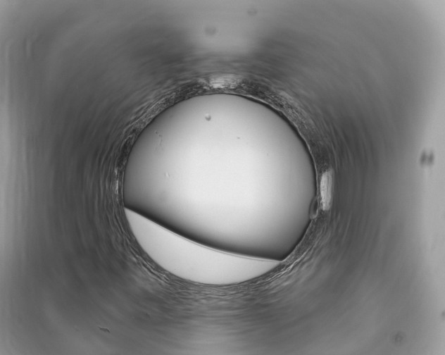 X0000091291443200708101016