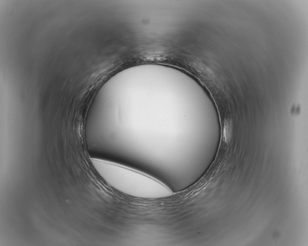 X0000091291444200708101016