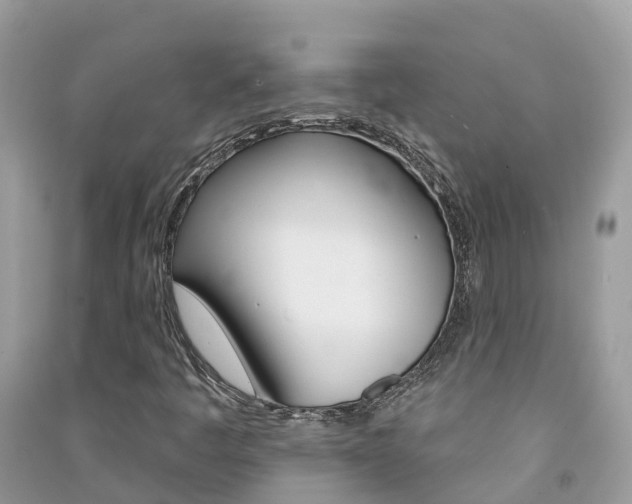 X0000091291445200708101016