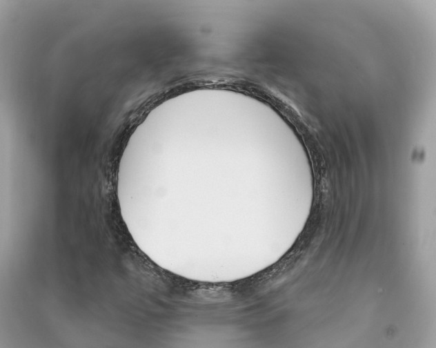 X0000091291447200708101016