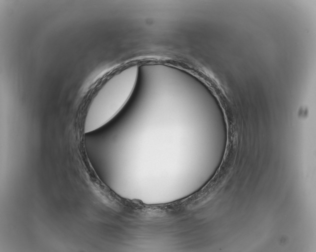 X0000091291448200708101016