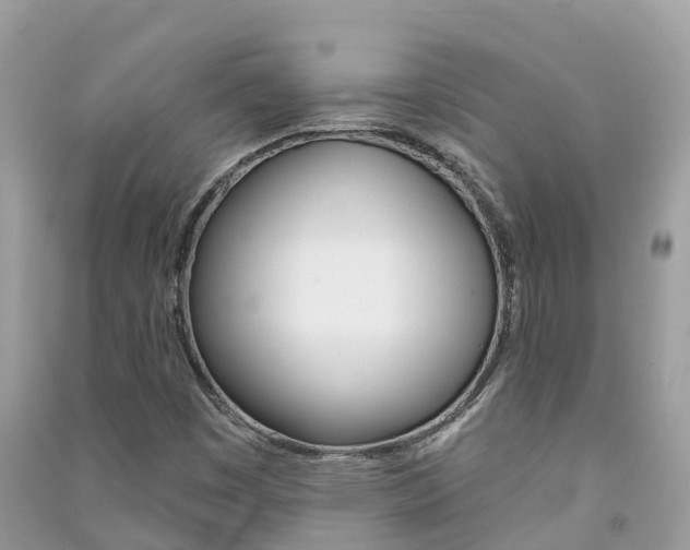 X0000091291449200708101016