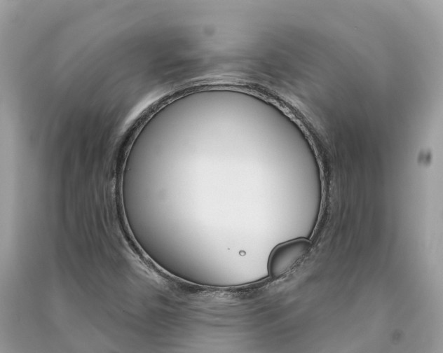 X0000091291450200708101016