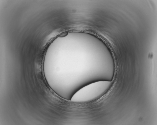 X0000091291451200708101016