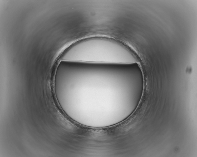 X0000091291452200708101016