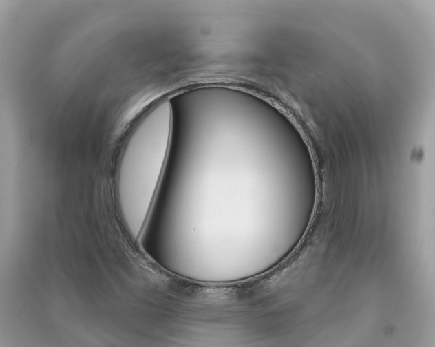 X0000091291453200708101016