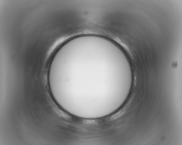 X0000091291454200708101016