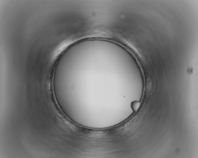 X0000091291455200708101016