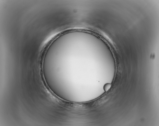 X0000091291456200708101016