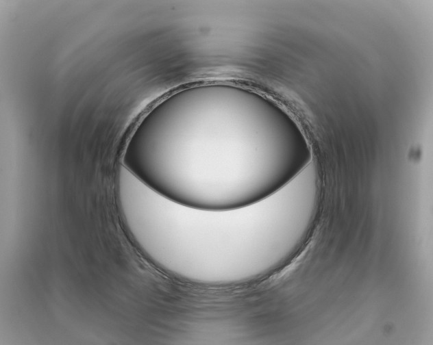X0000091291457200708101016