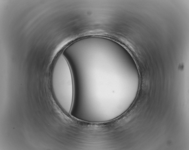 X0000091291458200708101016