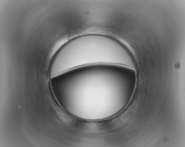 X0000091291461200708101016
