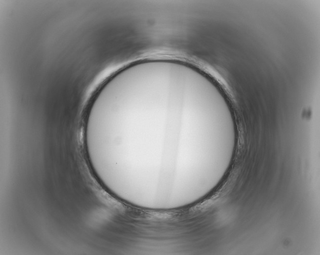 X0000091291462200708101016