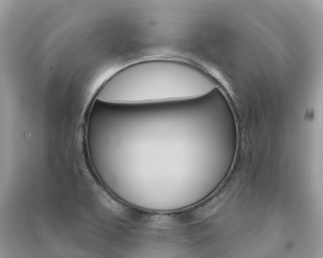 X0000091291463200708101016