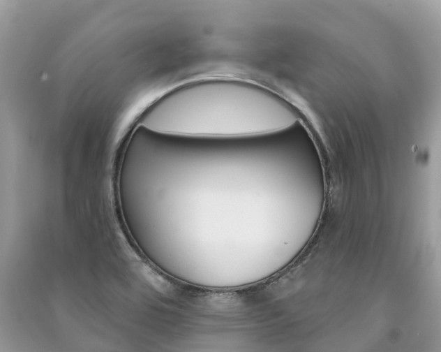 X0000091291464200708101016