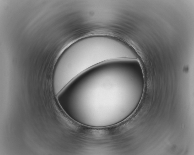 X0000091291465200708101016