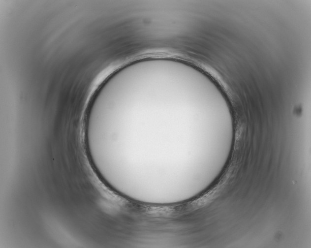 X0000091291466200708101016