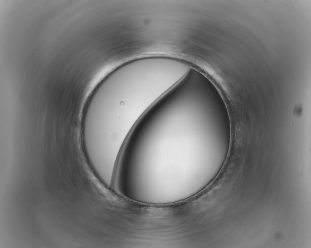 X0000091291469200708101016