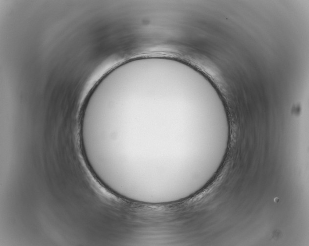 X0000091291470200708101016