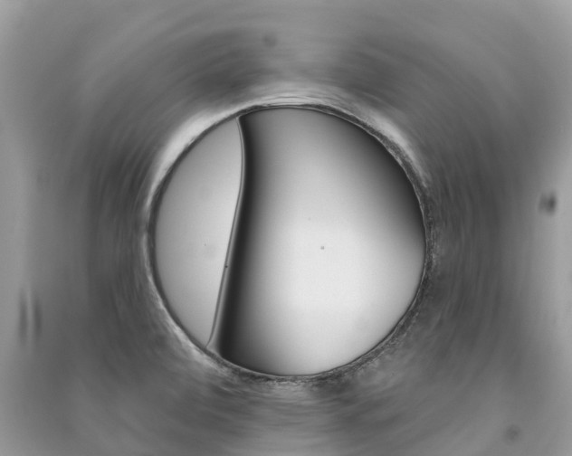X0000091291472200708101016