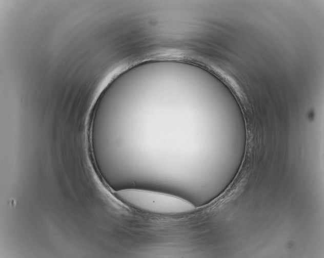X0000091291475200708101015