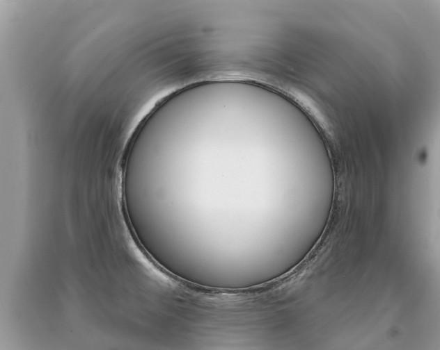 X0000091291476200708101015