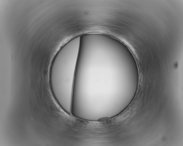 X0000091291477200708101015