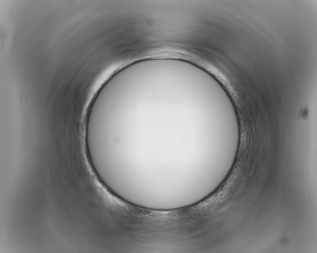 X0000091291478200708101015