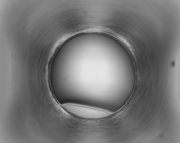 X0000091291480200708101015