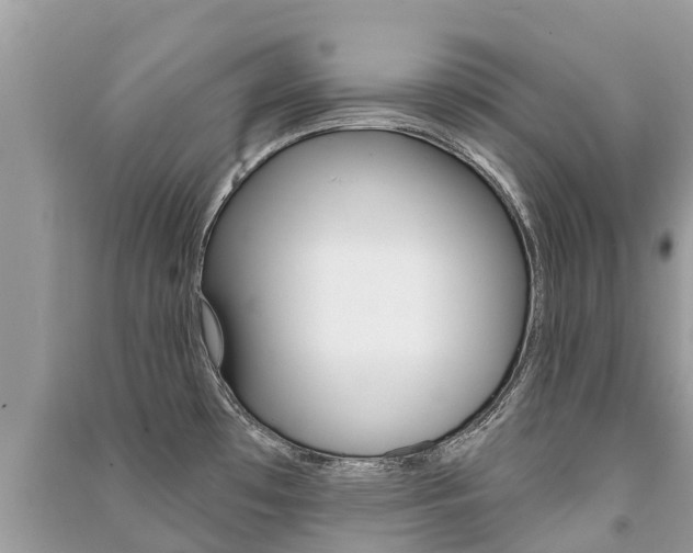 X0000091291481200708101015