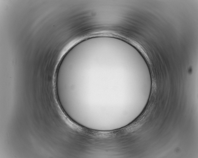 X0000091291482200708101015