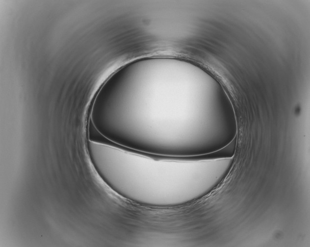 X0000091291483200708101015