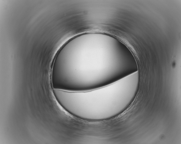 X0000091291484200708101015