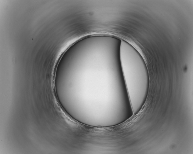 X0000091291485200708101015