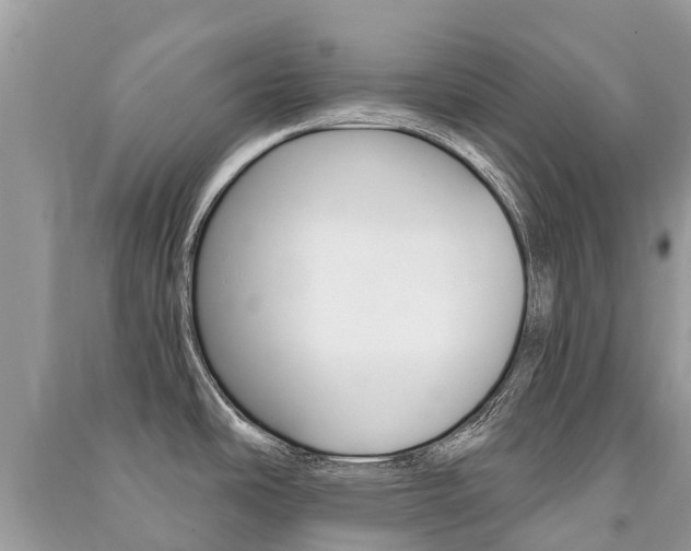 X0000091291486200708101015