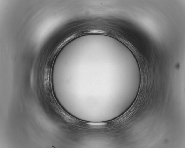 X0000091291487200708101015