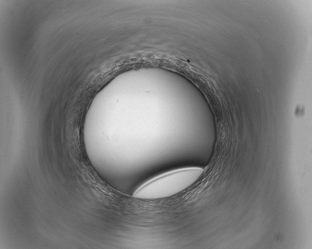 X0000091291489200708101014