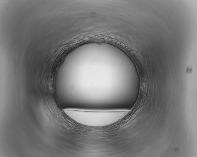 X0000091291490200708101014